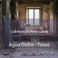 Commercial Restoration Agua Dulce - Texas