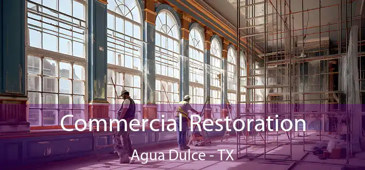 Commercial Restoration Agua Dulce - TX