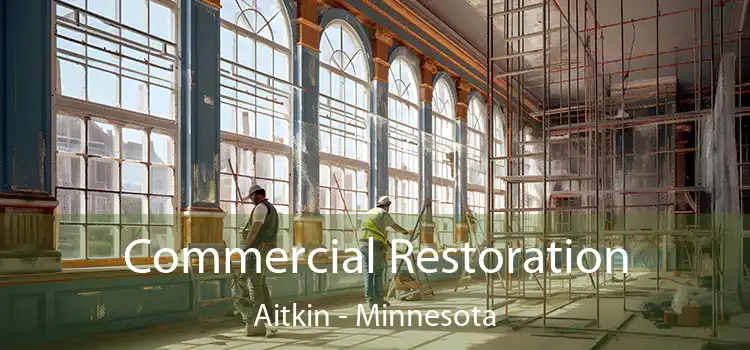 Commercial Restoration Aitkin - Minnesota