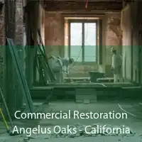 Commercial Restoration Angelus Oaks - California