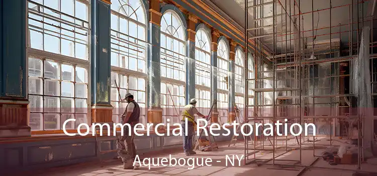 Commercial Restoration Aquebogue - NY