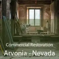 Commercial Restoration Arvonia - Nevada