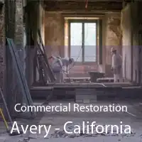 Commercial Restoration Avery - California