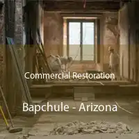 Commercial Restoration Bapchule - Arizona