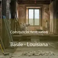 Commercial Restoration Basile - Louisiana