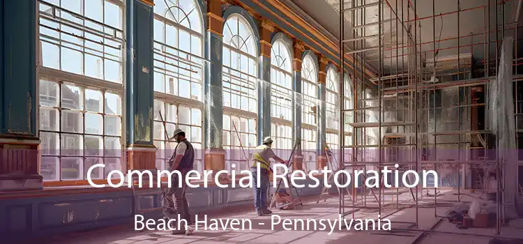 Commercial Restoration Beach Haven - Pennsylvania