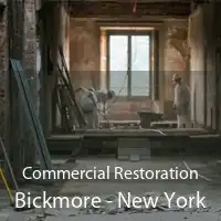 Commercial Restoration Bickmore - New York