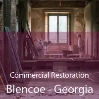 Commercial Restoration Blencoe - Georgia