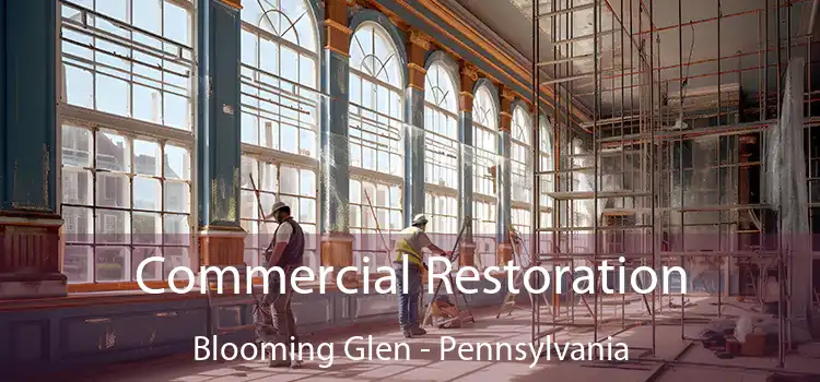 Commercial Restoration Blooming Glen - Pennsylvania