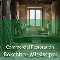 Commercial Restoration Bokchito - Mississippi