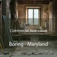 Commercial Restoration Boring - Maryland