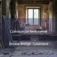 Commercial Restoration Breaux Bridge - Louisiana