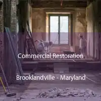 Commercial Restoration Brooklandville - Maryland