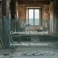 Commercial Restoration Brookline Village - Massachusetts