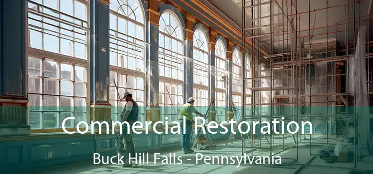 Commercial Restoration Buck Hill Falls - Pennsylvania