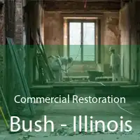 Commercial Restoration Bush - Illinois