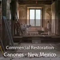 Commercial Restoration Canones - New Mexico