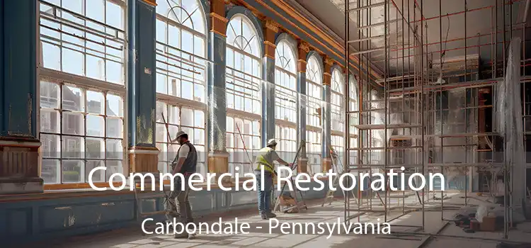 Commercial Restoration Carbondale - Pennsylvania