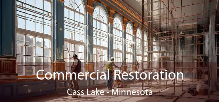 Commercial Restoration Cass Lake - Minnesota