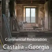 Commercial Restoration Castalia - Georgia