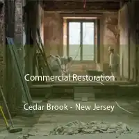 Commercial Restoration Cedar Brook - New Jersey