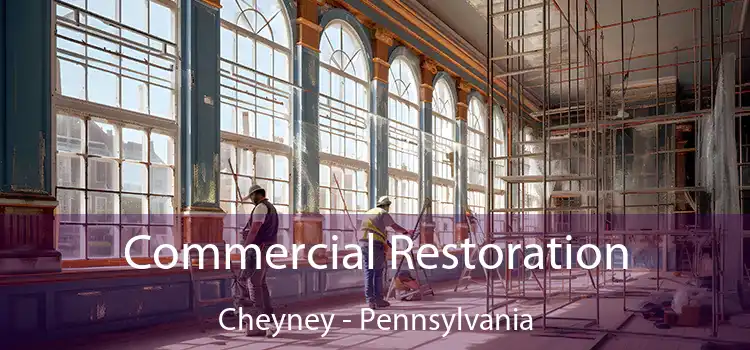 Commercial Restoration Cheyney - Pennsylvania