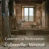Commercial Restoration Colliersville - Missouri