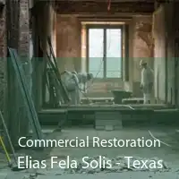 Commercial Restoration Elias Fela Solis - Texas