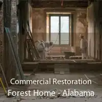 Commercial Restoration Forest Home - Alabama