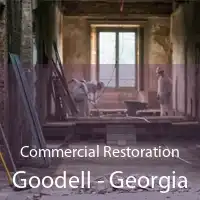 Commercial Restoration Goodell - Georgia