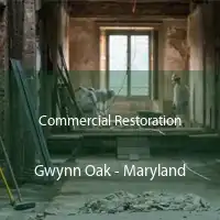 Commercial Restoration Gwynn Oak - Maryland