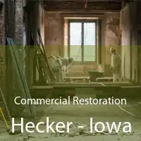 Commercial Restoration Hecker - Iowa