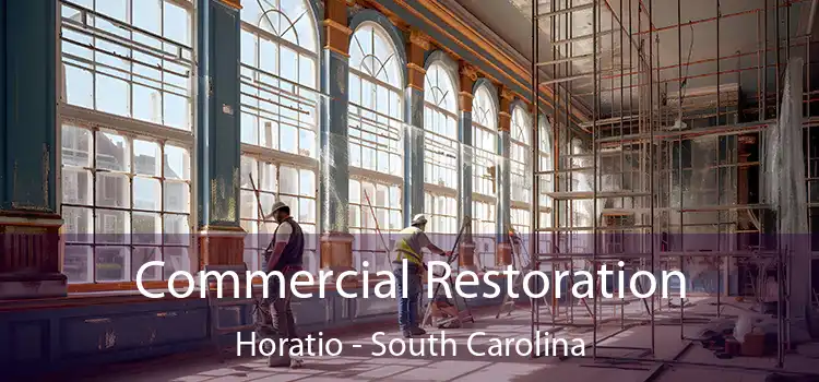 Commercial Restoration Horatio - South Carolina