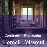 Commercial Restoration Hornell - Missouri