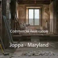 Commercial Restoration Joppa - Maryland