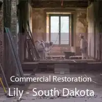Commercial Restoration Lily - South Dakota