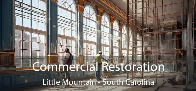 Commercial Restoration Little Mountain - South Carolina