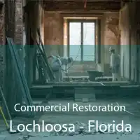 Commercial Restoration Lochloosa - Florida