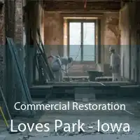 Commercial Restoration Loves Park - Iowa