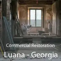 Commercial Restoration Luana - Georgia