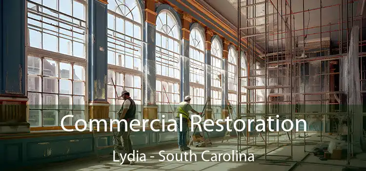 Commercial Restoration Lydia - South Carolina