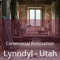 Commercial Restoration Lynndyl - Utah