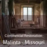 Commercial Restoration Malinta - Missouri