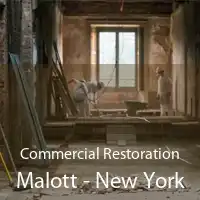 Commercial Restoration Malott - New York