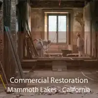 Commercial Restoration Mammoth Lakes - California