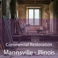 Commercial Restoration Mannsville - Illinois