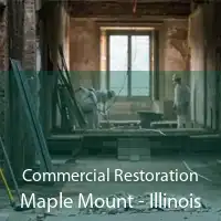 Commercial Restoration Maple Mount - Illinois