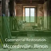 Commercial Restoration Mccordsville - Illinois