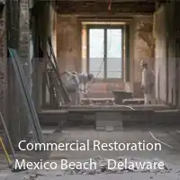 Commercial Restoration Mexico Beach - Delaware