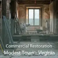 Commercial Restoration Modest Town - Virginia